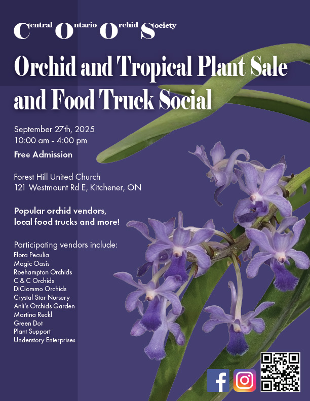 An example of package design